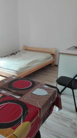 Хостелы Hostel Sosnowiec Сосновец Двухместный номер с 1 кроватью и собственной ванной комнатой-19